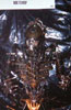 Alien Queen Made From Boltshop (42k)