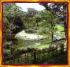 Japanese Tea House Gardens