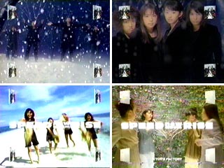 White Love`Wake Me Up`my graduation