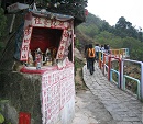屯門徑沿途