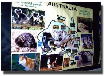 Animals