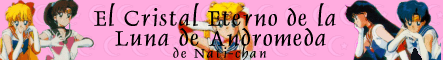 Inner Senshi Banner