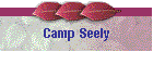Camp Seely