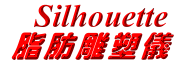 sililogo.gif (5410 bytes)