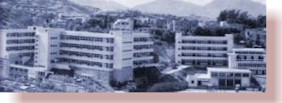 pcfoto2.jpg (11781 bytes)