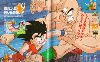 Clic here to see the picture (004.GIF)