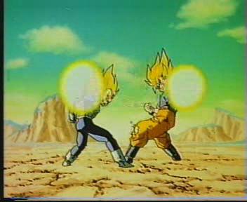 gokouvegeta02