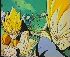 Clic here to see the picture (gokouvegetakurara03.jpg)
