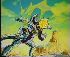 Clic here to see the picture (vegetavskurara.jpg)