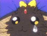[Ryo-ohki]