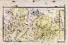 board5.jpg