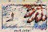 board8.jpg