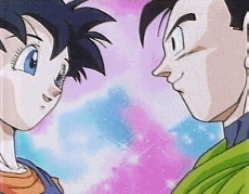 Gohan & Videl