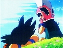 Goku & Chi Chi