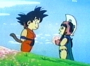 Goku & Chi Chi