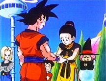 Goku & Chi Chi