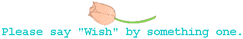 Wish 3: Please say Wish by something one.