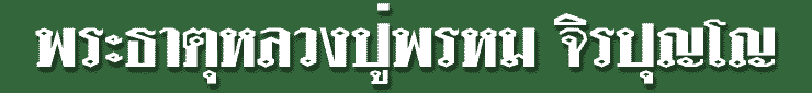tt11.gif (4695 bytes)