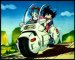 Bulma