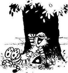 My Favortie comics