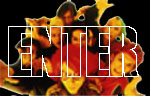ENTER