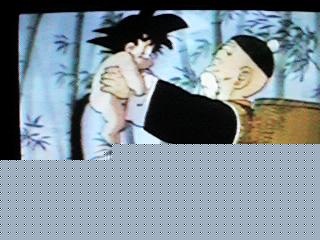 gohan3.jpg (16190 bytes)