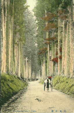 nikko39s.jpg 20.3K