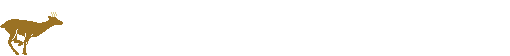 animal03.gif (7667 bytes)
