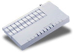 bigbody.gif (7408 bytes)