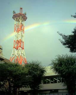 photo by lisa