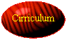 Cirriculum