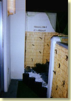 the balcony at night
