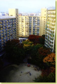 central court area (viewed from building 7)