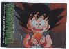 Clic here to see the picture (dbcard10.jpg)