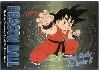Clic here to see the picture (dbcard25.jpg)