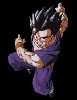 Clic here to see the picture (05.gif)