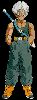 Clic here to see the picture (04.gif)