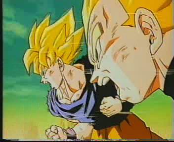 gokouvegeta