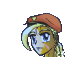 The Cammy Shrine