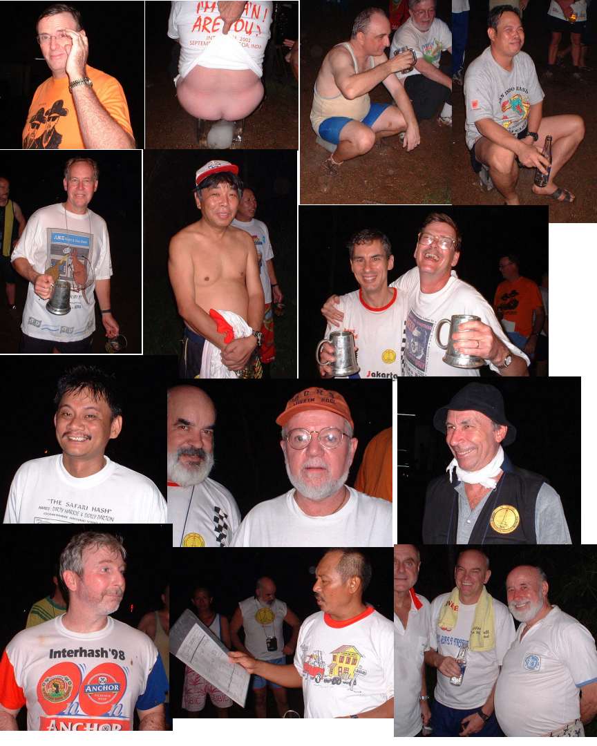 collage for run 1732