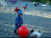 Fun dog in the park