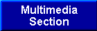 Multimedia Section
