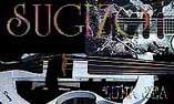 Sugizo Guitar
