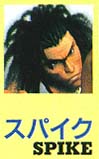 spike.jpg (12870 bytes)
