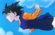 Videl