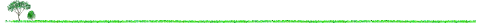 line_099.gif 478x25 2.92KB