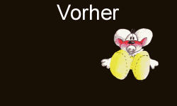 DIDDL verfliegt sich