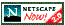 Internet Explorer/Netscape