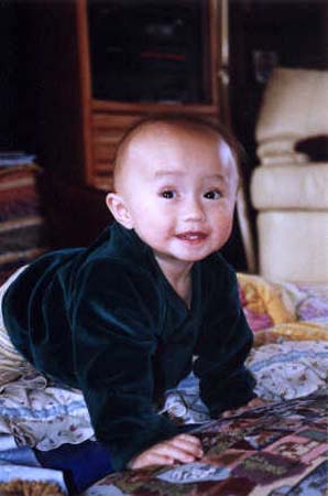 011-akane_green_velvet