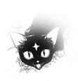 Velpser- as a cat